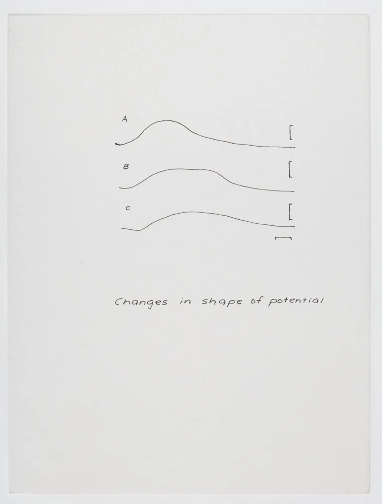 Ink on paper
6 x 4.5 in. / 15.2 x 11.4 cm, each sheet
Photo: Art Evans