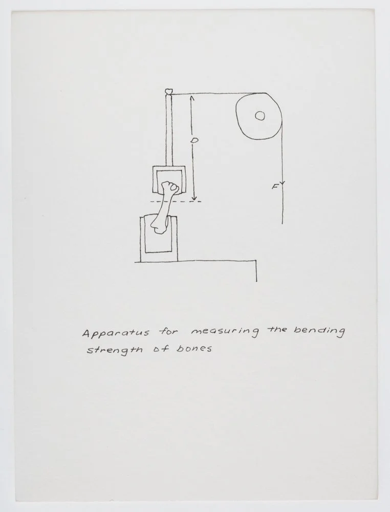Ink on paper
6 x 4.5 in. / 15.2 x 11.4 cm, each sheet
Photo: Art Evans