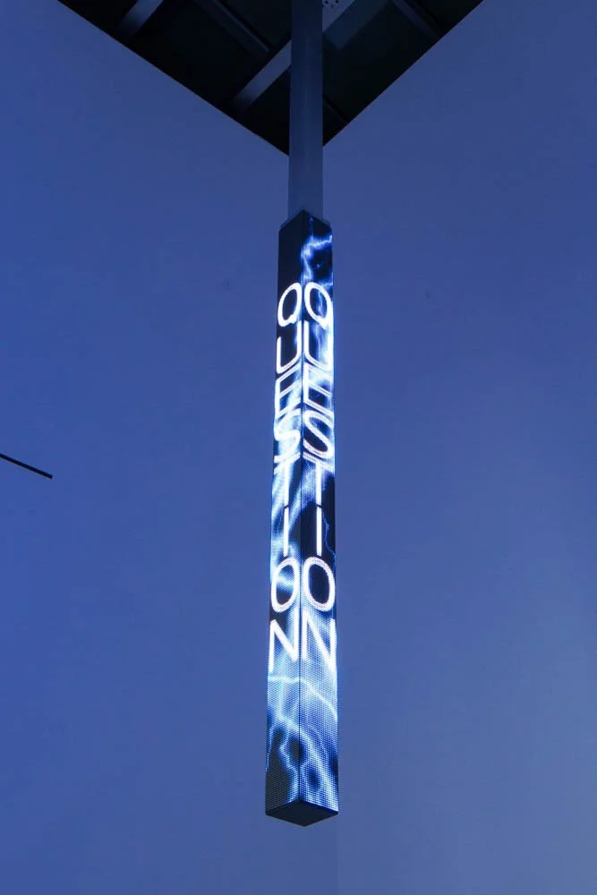 Site: Cheim & Read, New York
September 11–October 25, 2014
Text: U.S. government documents
Photo: Jake Forney