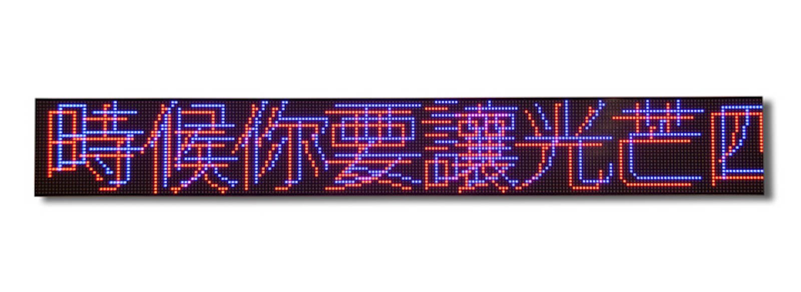 Text: Survival, 1983–85
Photo: Collin LaFleche