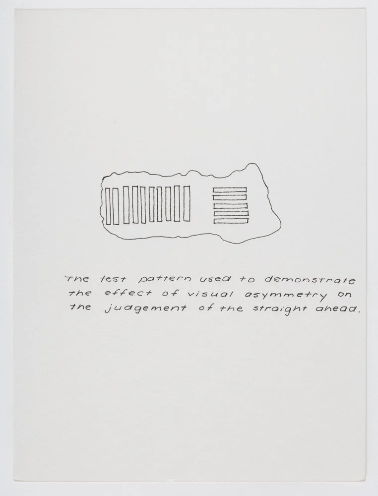 Ink on paper
6 x 4.5 in. / 15.2 x 11.4 cm, each sheet
Photo: Art Evans