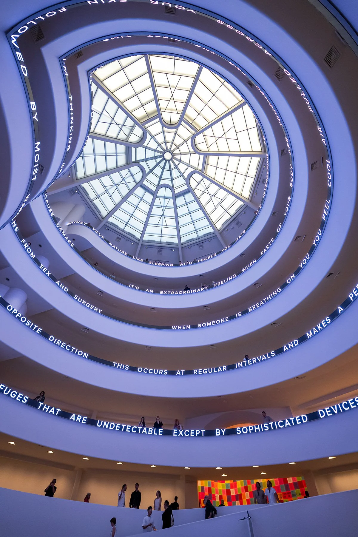 D11_179_142.jpg