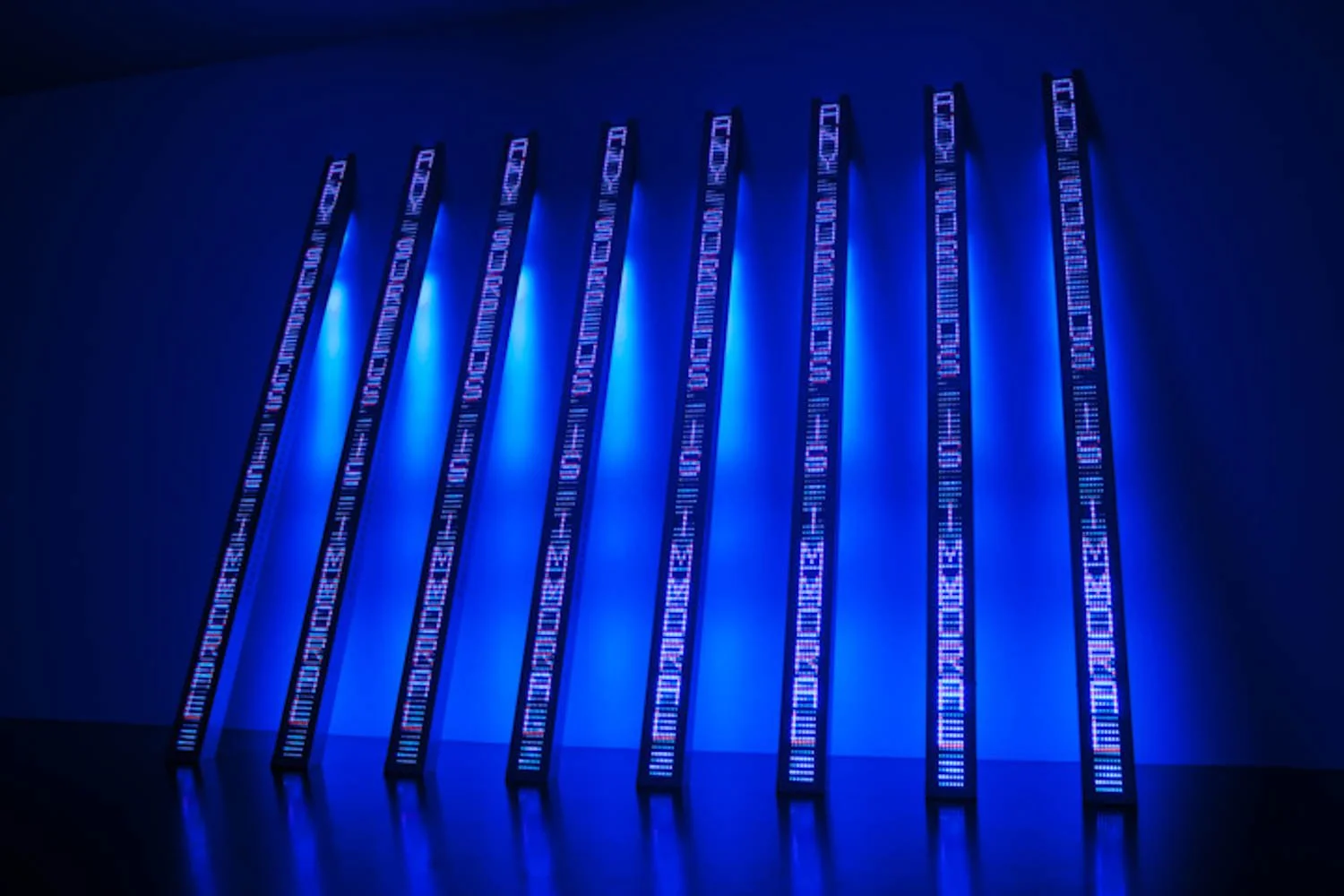 Site: Kukje Gallery, Seoul
September 8–October 16, 2011
Text: Truisms, 1977–79
Photo: Collin LaFleche