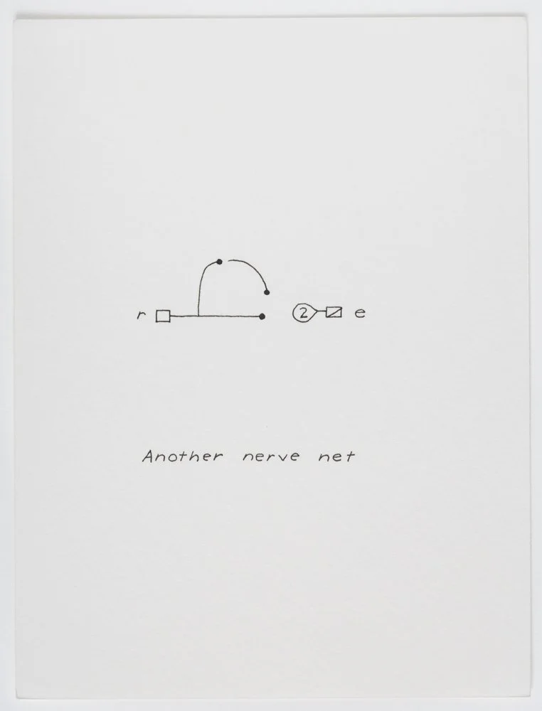 Ink on paper
6 x 4.5 in. / 15.2 x 11.4 cm, each sheet
Photo: Art Evans