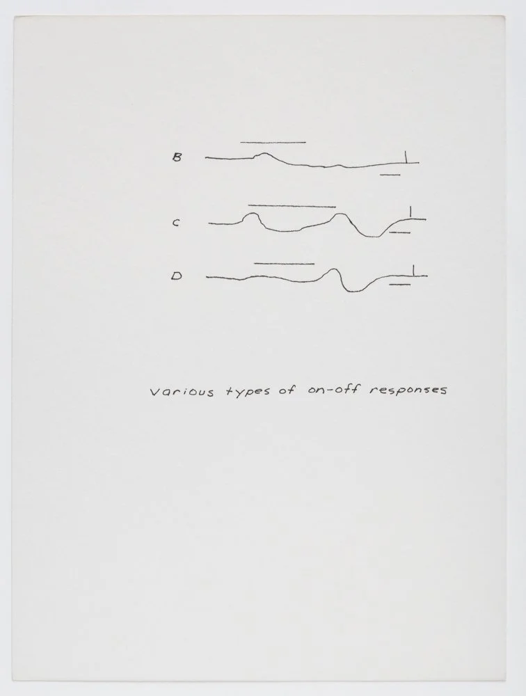 Ink on paper
6 x 4.5 in. / 15.2 x 11.4 cm, each sheet
Photo: Art Evans