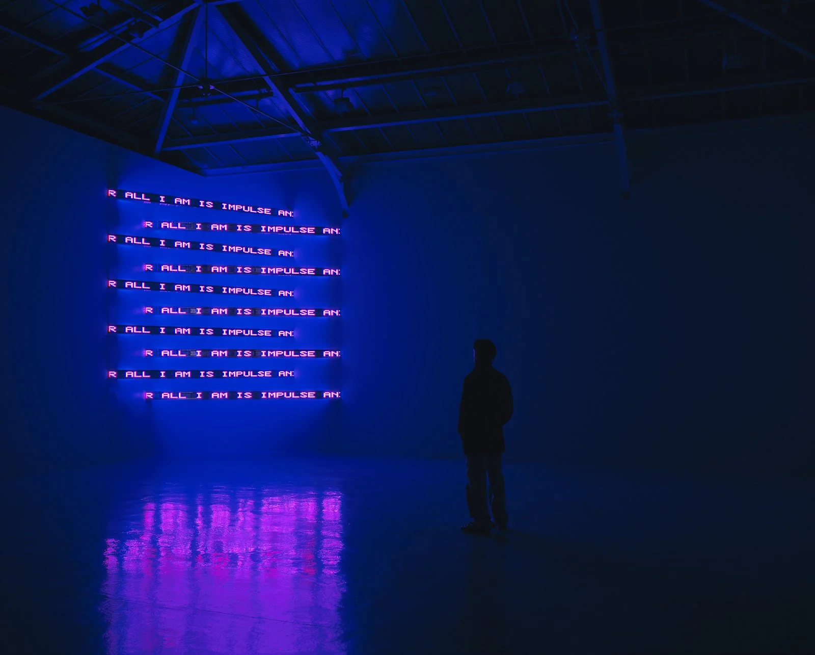 Site: Galerie Yvon Lambert, Paris
September 11–October 23, 2004
Text: “Blur” from Middle Earth by Henri Cole, © 2003 by the author. Used with permission of Farrar, Straus and Giroux, LLC.
Photo: Attilio Maranzano