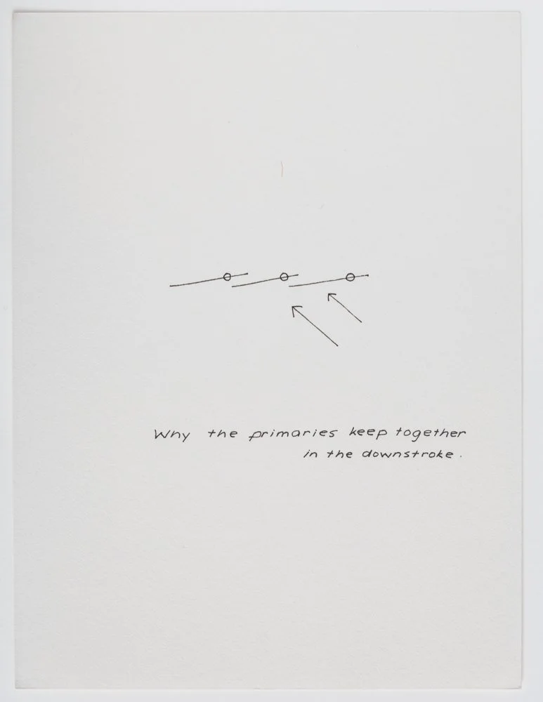 Ink on paper
6 x 4.5 in. / 15.2 x 11.4 cm, each sheet
Photo: Art Evans