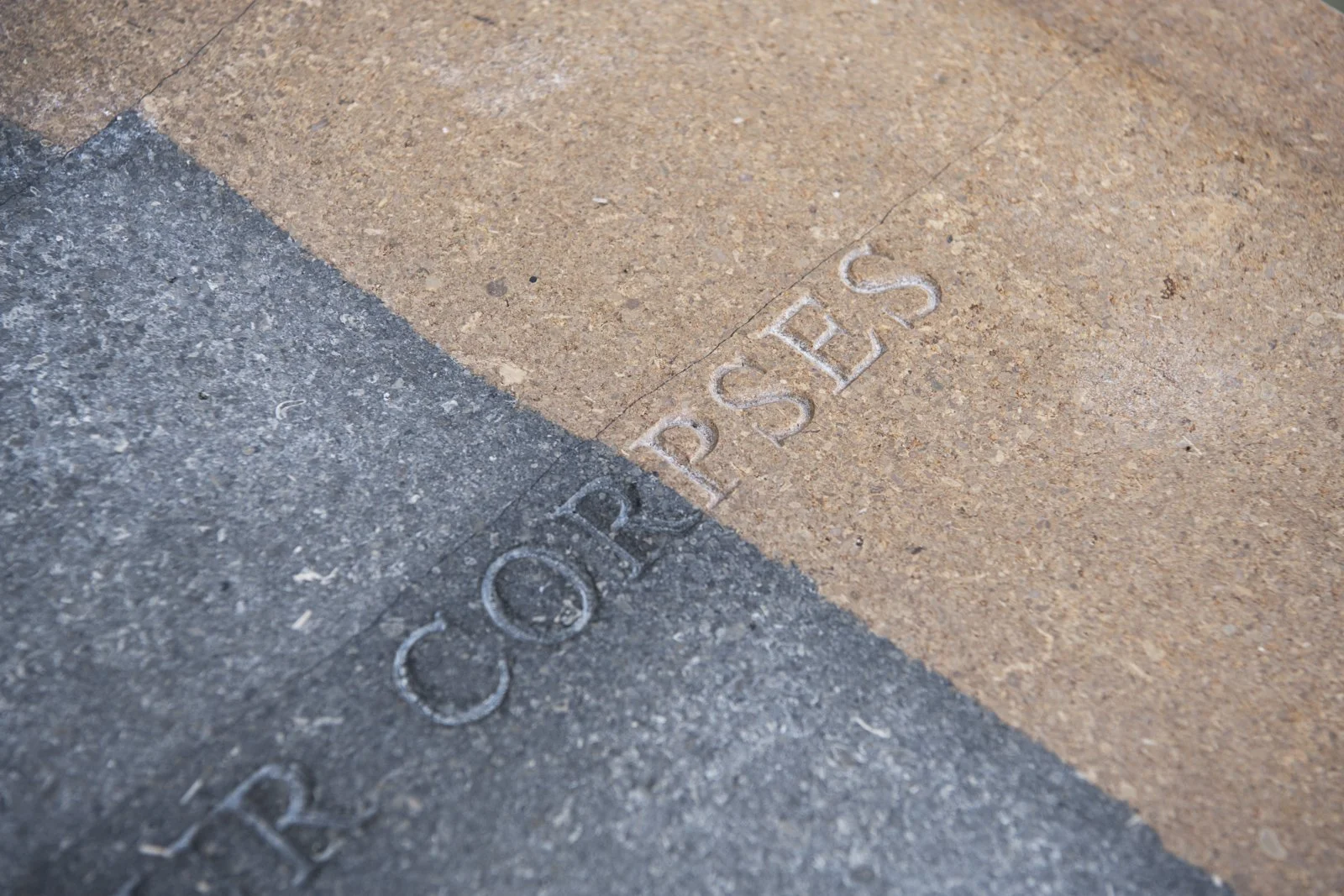 FIRST ORDER TO FIGHT, 2017 (detail)

Installation: SOFTER: Jenny Holzer at Blenheim Palace, Blenheim Palace, Woodstock, England, 2017
September 29–December 31, 2017
Text: “Let Them Count Corpses” from Building the Barricade by Anna Świrszczyńska, Eng