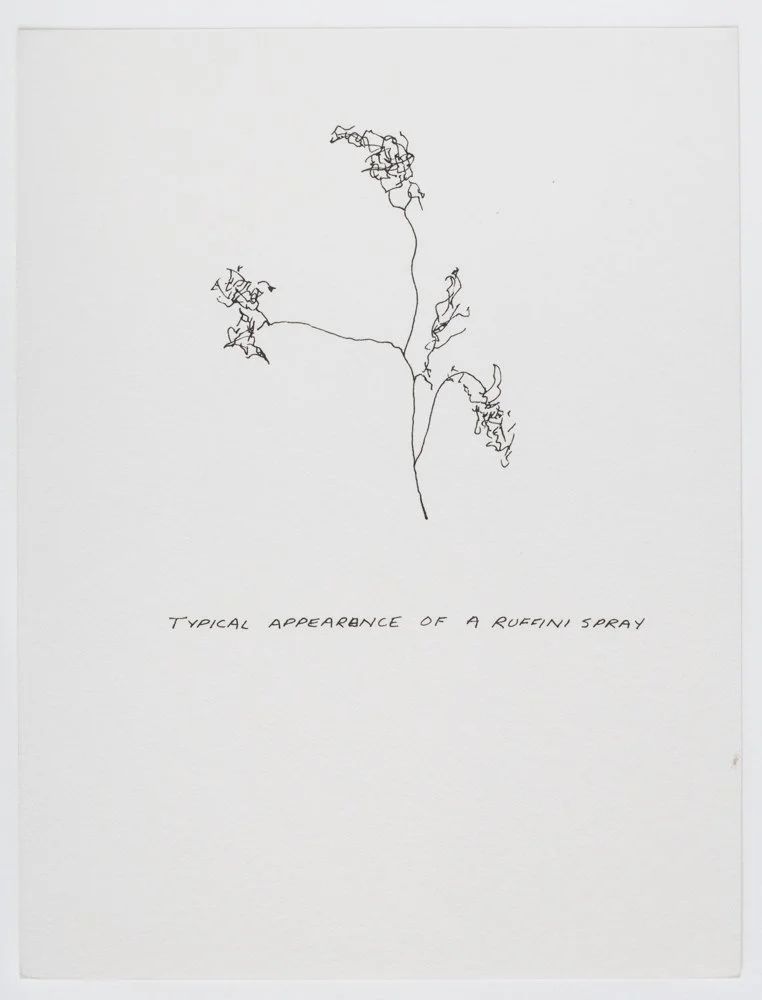 Ink on paper
6 x 4.5 in. / 15.2 x 11.4 cm, each sheet
Photo: Art Evans
