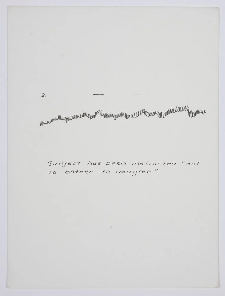 Ink on paper
6 x 4.5 in. / 15.2 x 11.4 cm, each sheet
Photo: Art Evans