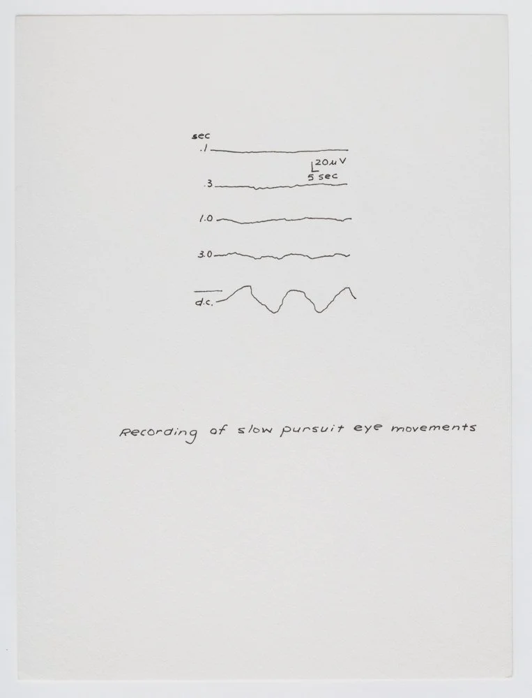 Ink on paper
6 x 4.5 in. / 15.2 x 11.4 cm, each sheet
Photo: Art Evans