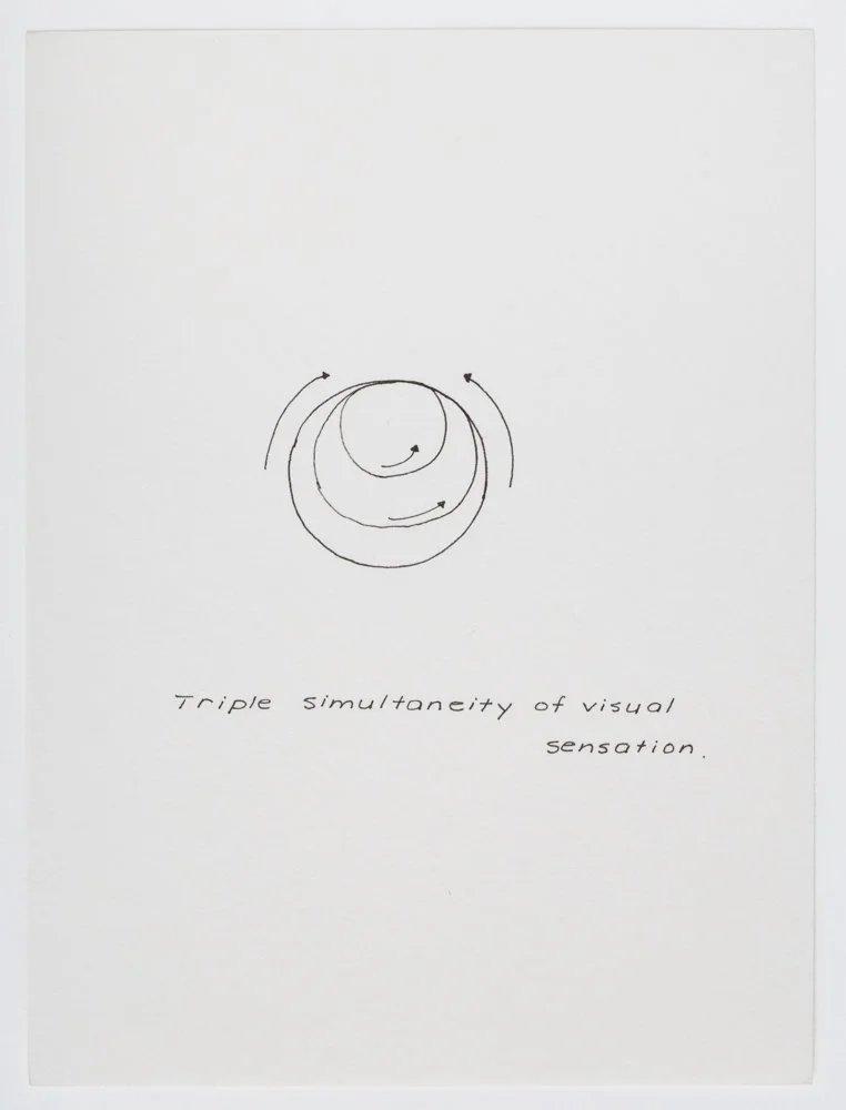 Ink on paper
6 x 4.5 in. / 15.2 x 11.4 cm, each sheet
Photo: Art Evans