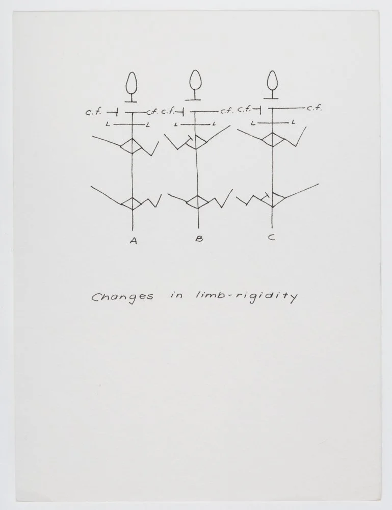 Ink on paper
6 x 4.5 in. / 15.2 x 11.4 cm, each sheet
Photo: Art Evans