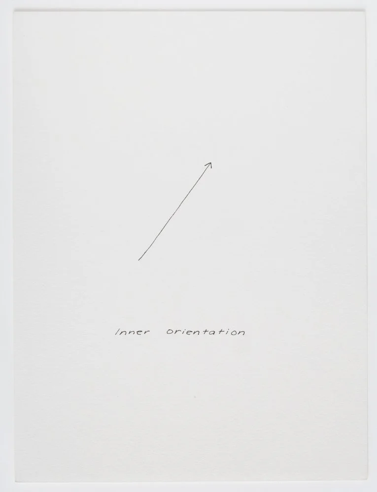 Ink on paper
6 x 4.5 in. / 15.2 x 11.4 cm, each sheet
Photo: Art Evans