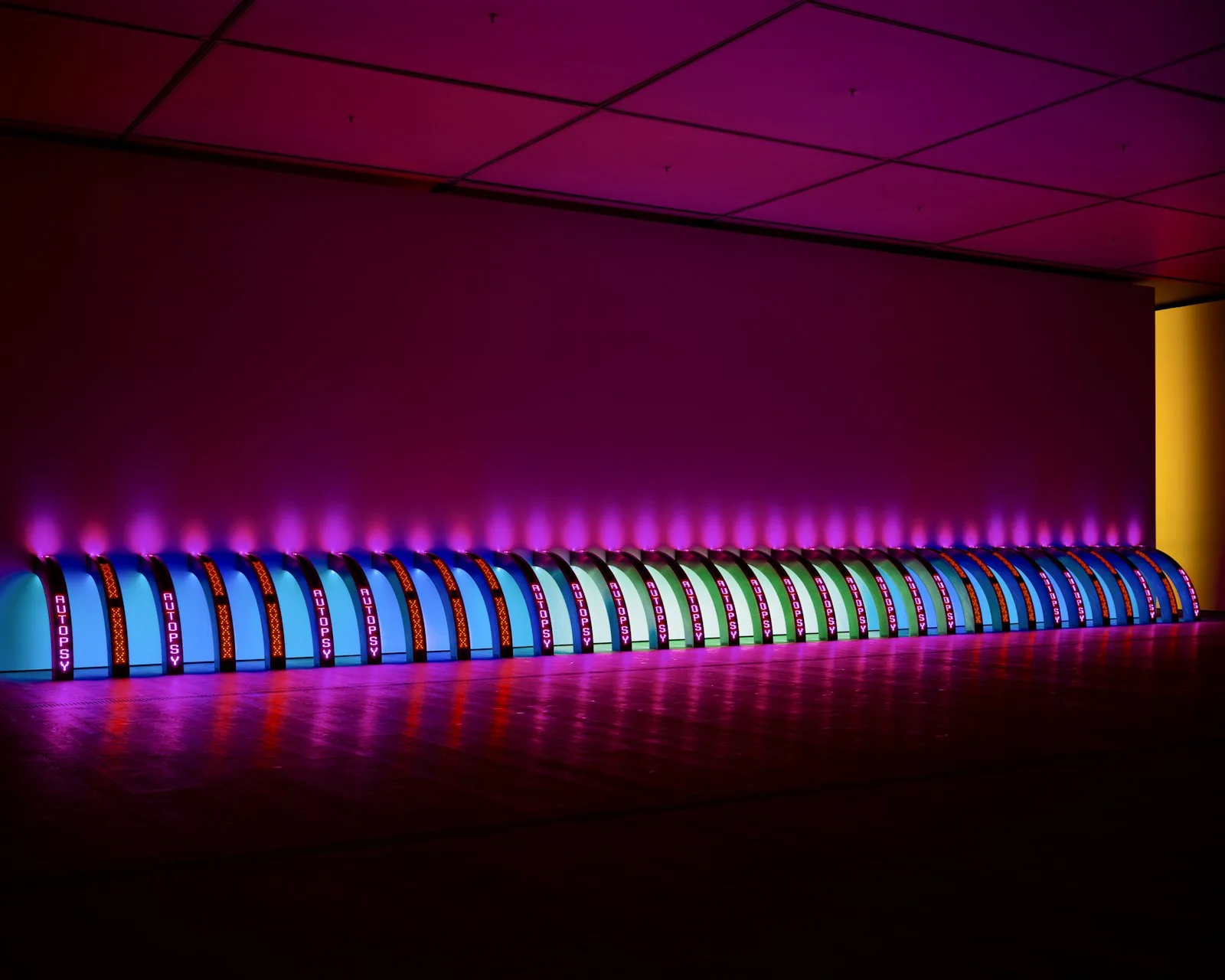 Site: BALTIC Centre for Contemporary Art, Gateshead, England
March 5–May 16, 2010
Text: U.S. government documents
Photo: Collin LaFleche