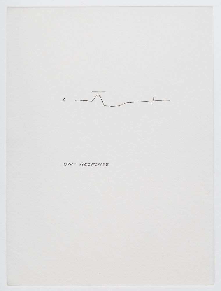 Ink on paper
6 x 4.5 in. / 15.2 x 11.4 cm, each sheet
Photo: Art Evans