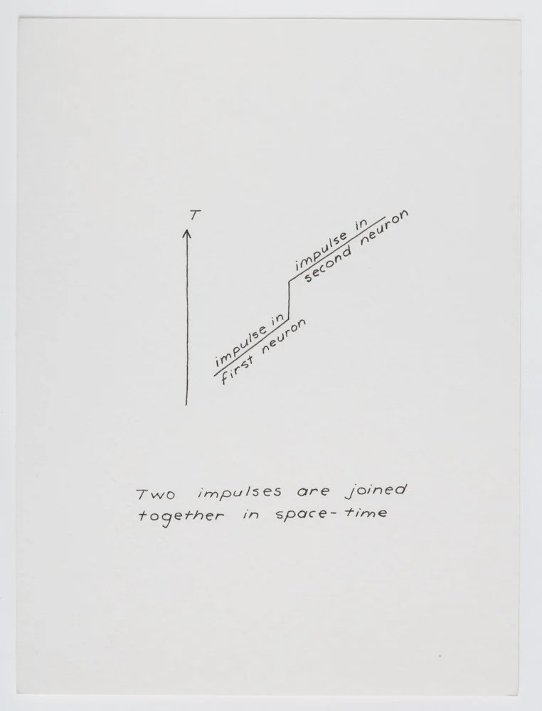Ink on paper
6 x 4.5 in. / 15.2 x 11.4 cm, each sheet
Photo: Art Evans