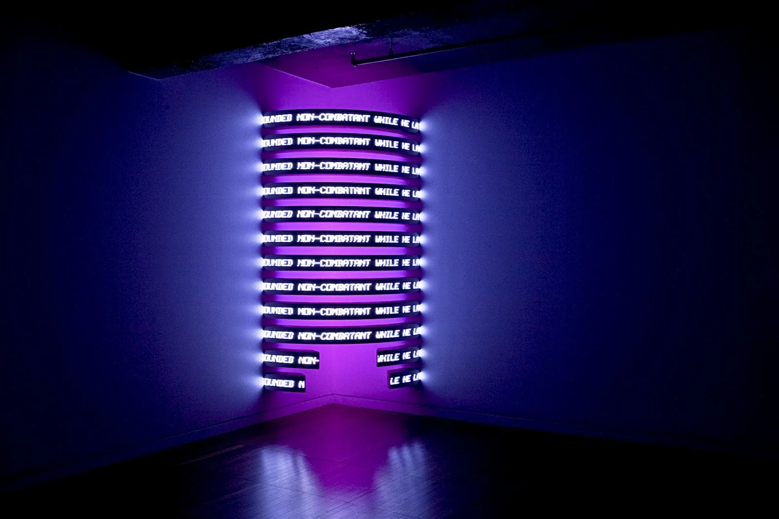 Site: DHC/ART Foundation for Contemporary Art, Montreal
June 30–November 14, 2010
Text: U.S. government documents
Photo: Richard-Max Tremblay