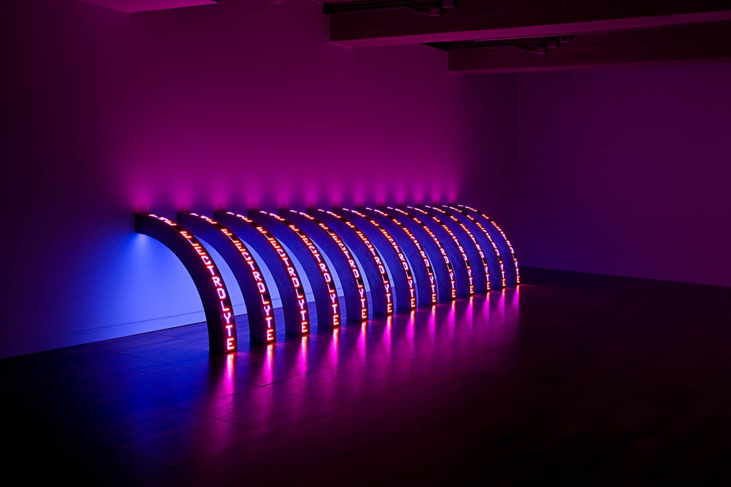Site: DHC/ART Foundation for Contemporary Art, Montreal
June 30–November 14, 2010
Text: U.S. government documents
Photo: Richard-Max Tremblay