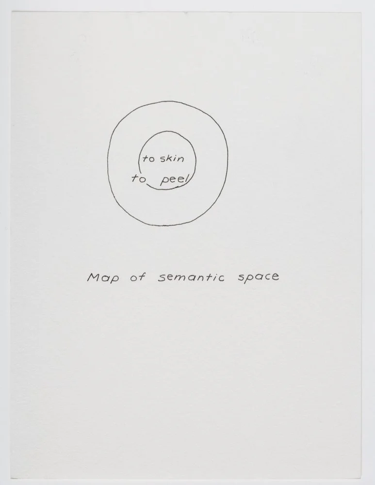 Ink on paper
6 x 4.5 in. / 15.2 x 11.4 cm, each sheet
Photo: Art Evans