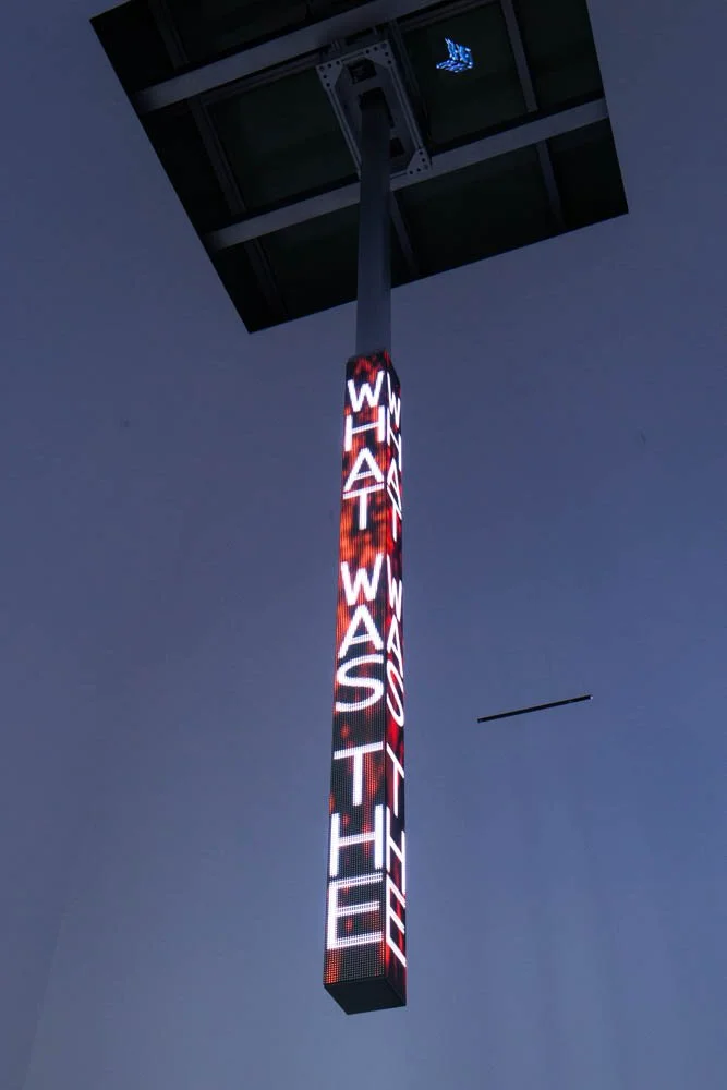 Site: Cheim & Read, New York
September 11–October 25, 2014
Text: U.S. government documents
Photo: Collin LaFleche