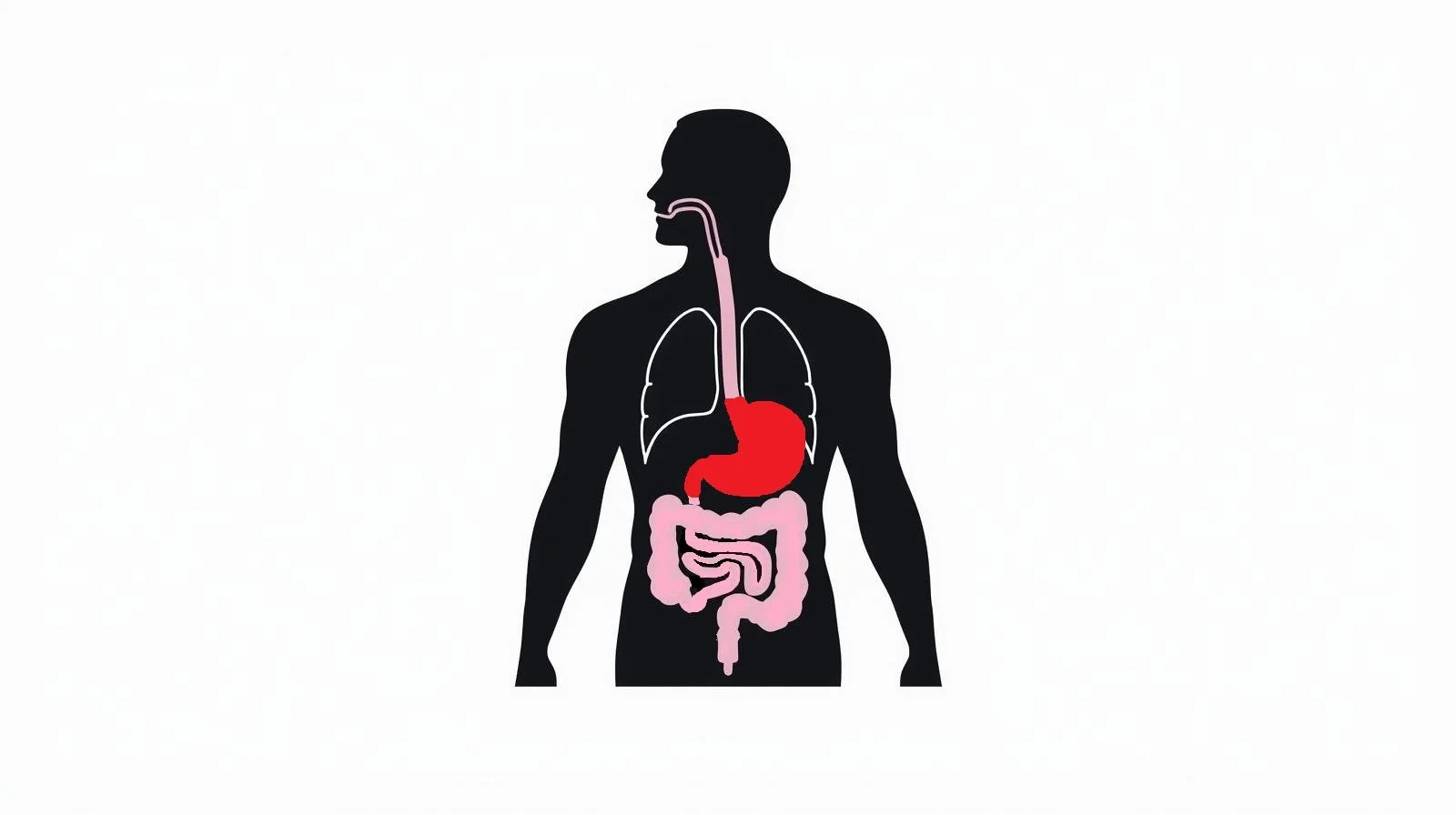 Human Gastric Media (FGF-10 added)