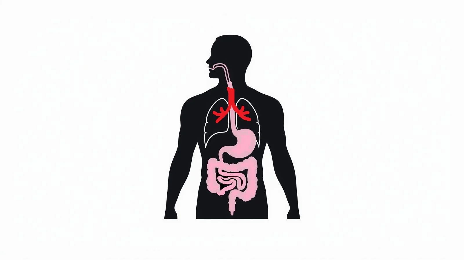 Airway Expansion Media