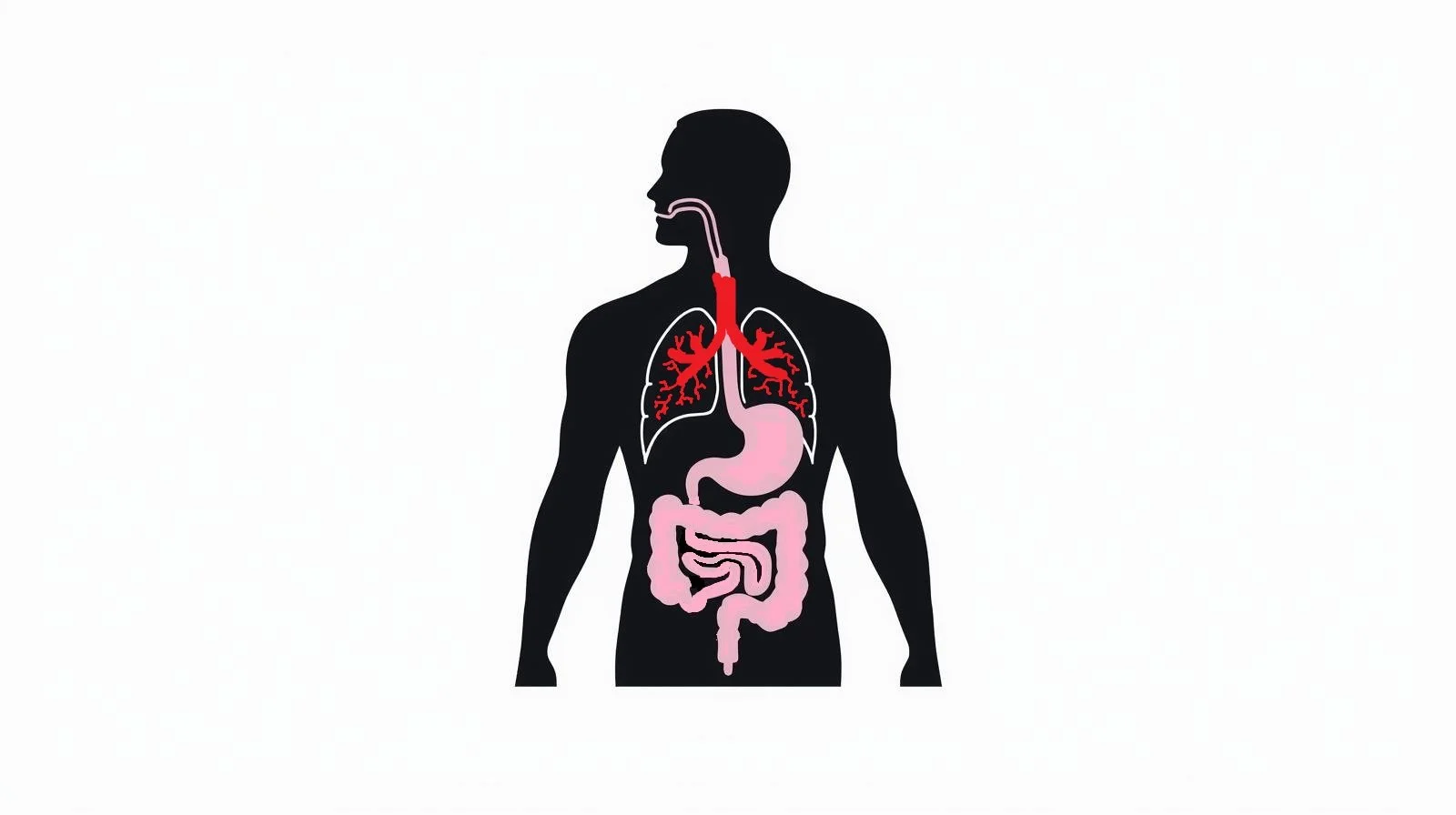 Alveolar Expansion Media