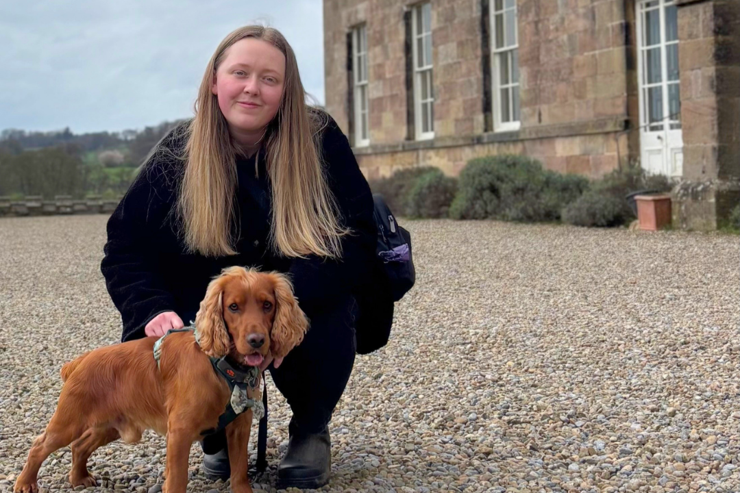 Win a Wedding Dog Chaperone Package – Launch Giveaway