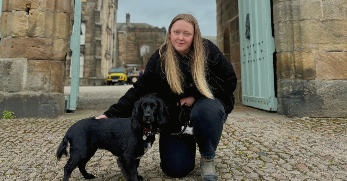 A black working cocker spaniel in bow tie posing for pictures with Harrogate Wedding Dog Chaperone at Riple Castle, Harrogate.