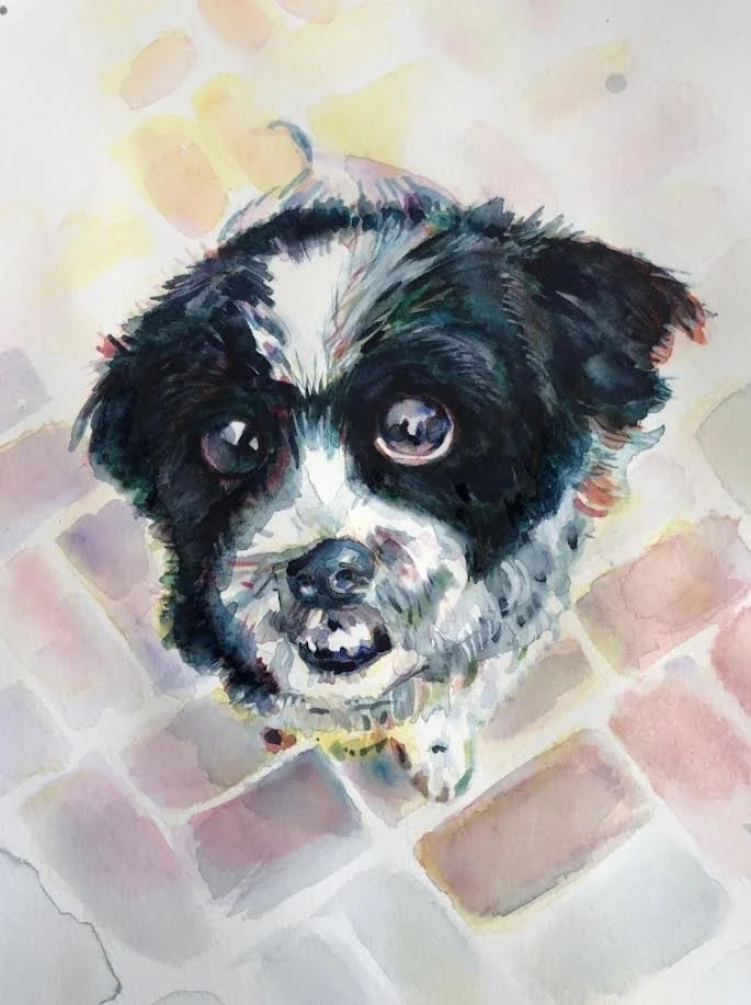 Watercolor painting of a black and white dog with large eyes looking up, standing on a brick floor.