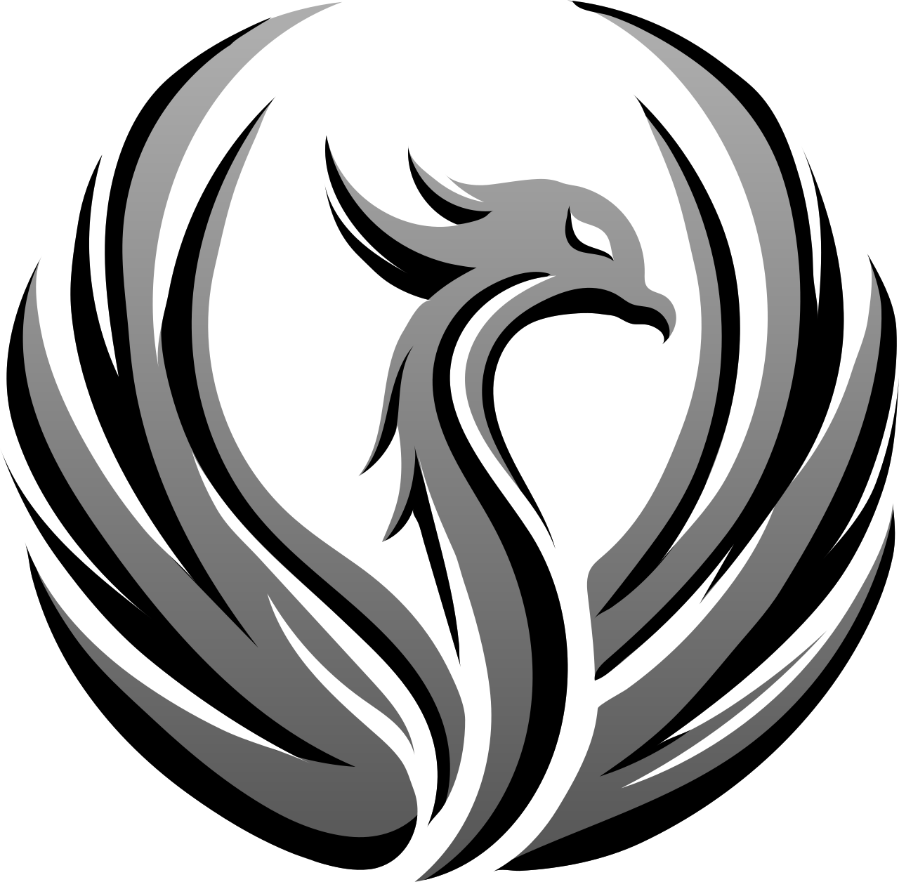 Phoenix Rising Foundation