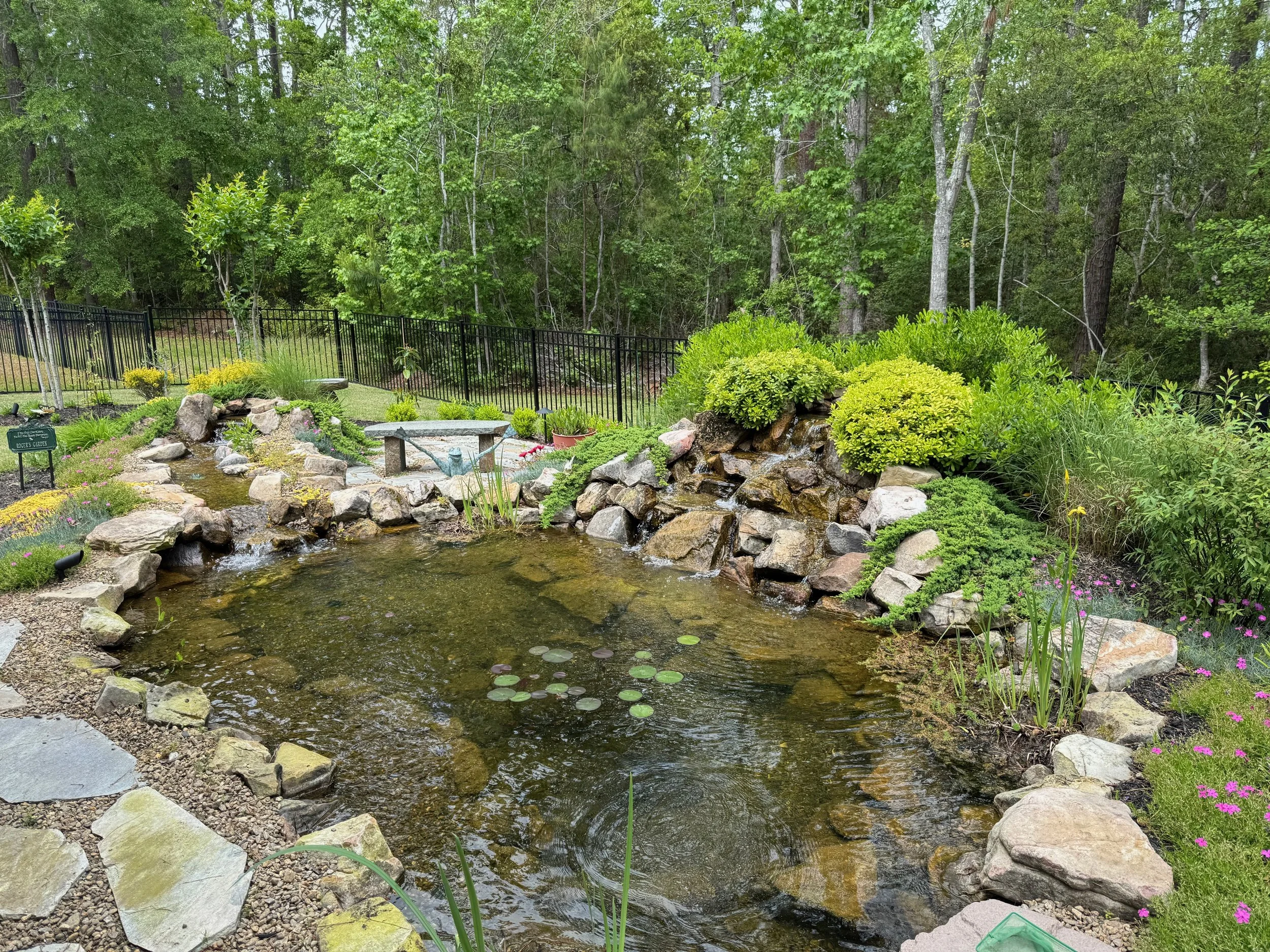 A backyard garden pond with rocks and water plants, surrounded by lush greenery and trees, enclosed by a black metal fence.