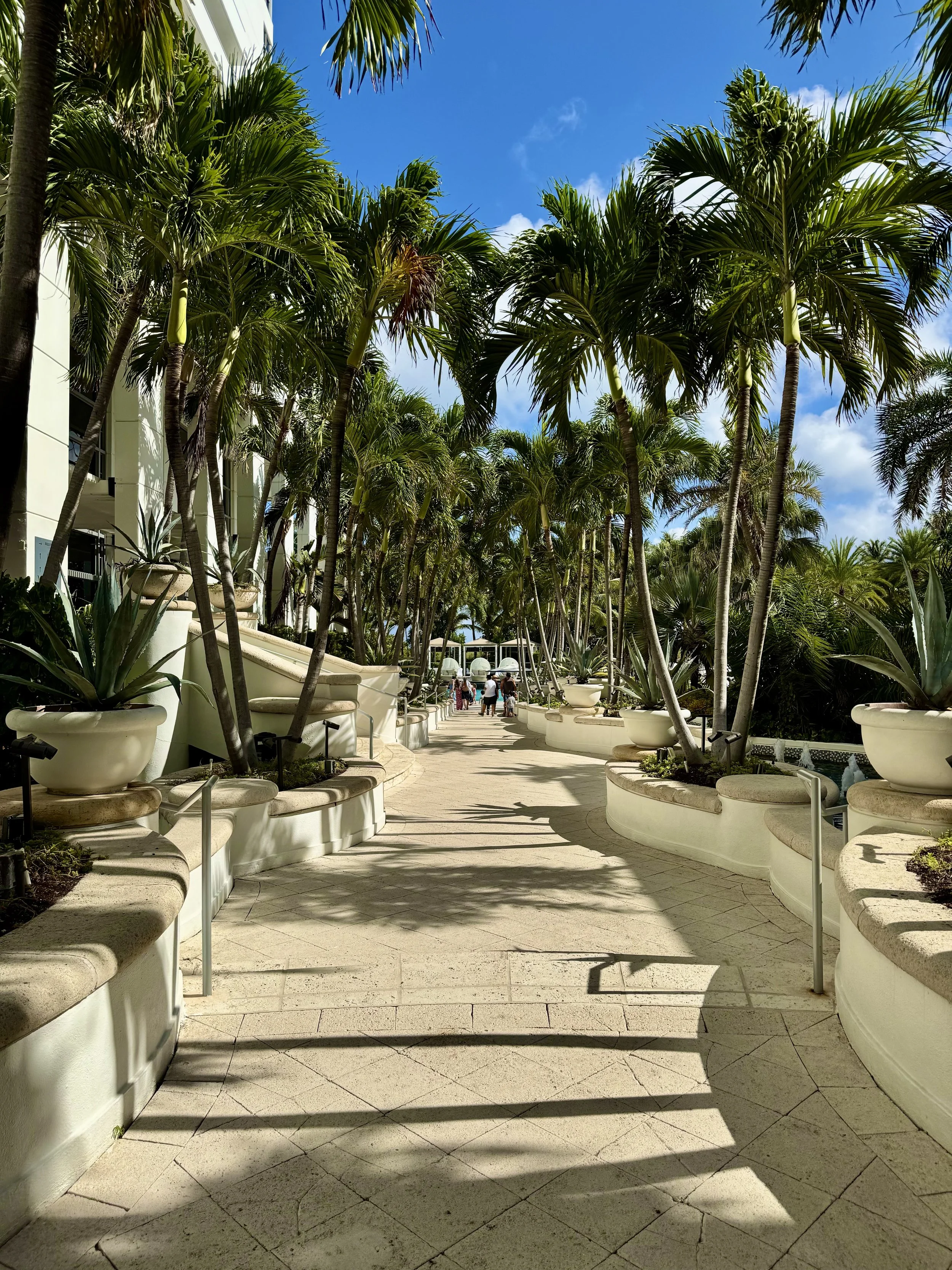 Palm-lined walkway in Miami Beach with modern white planters and blue skies—tropical luxury travel destination.