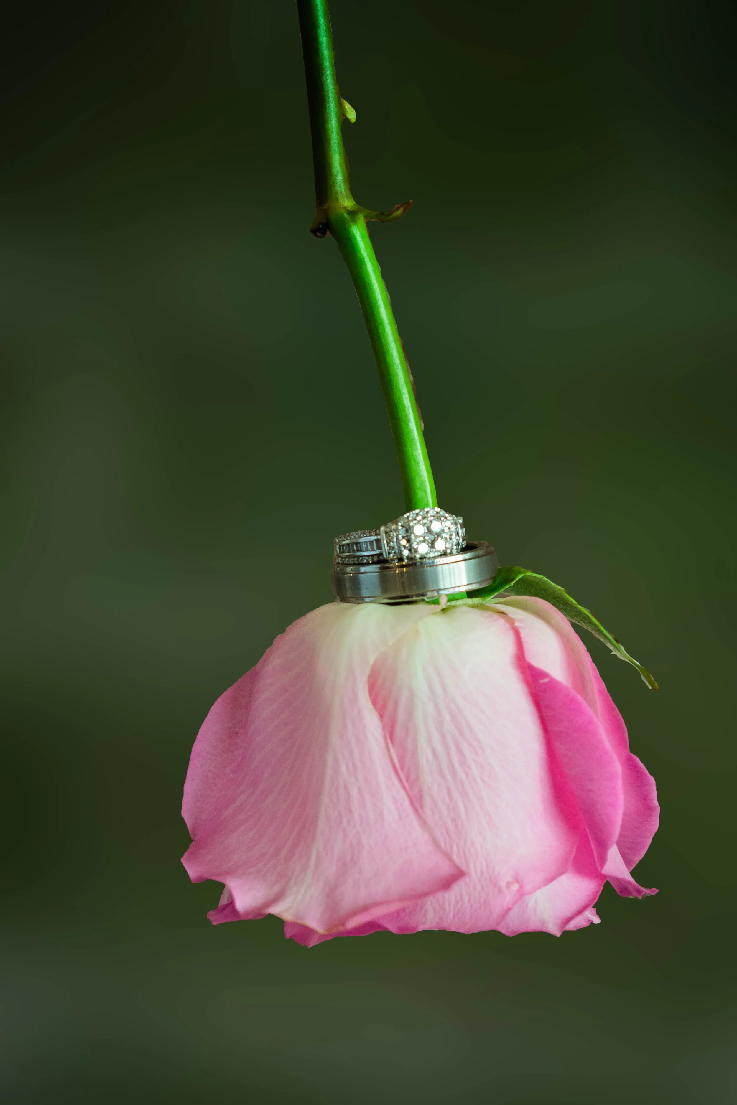 Background Alteration After