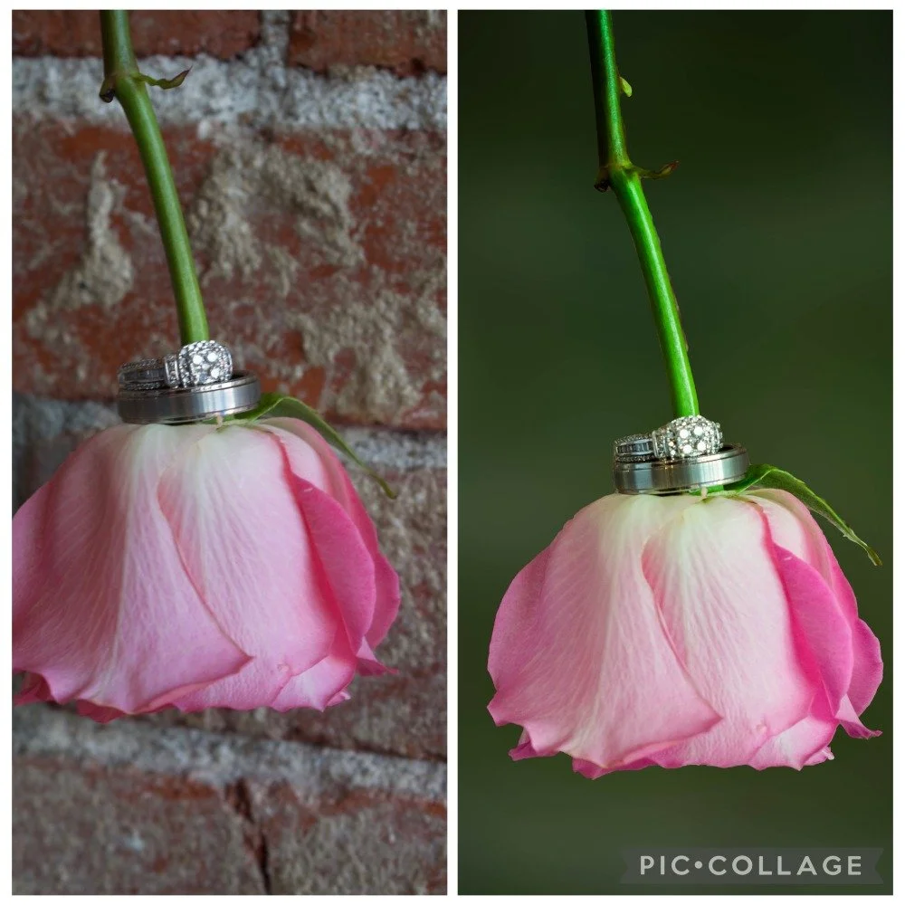 A pink rose with two diamond rings placed on top of it, photographed against a brick wall on the left and a green background on the right.