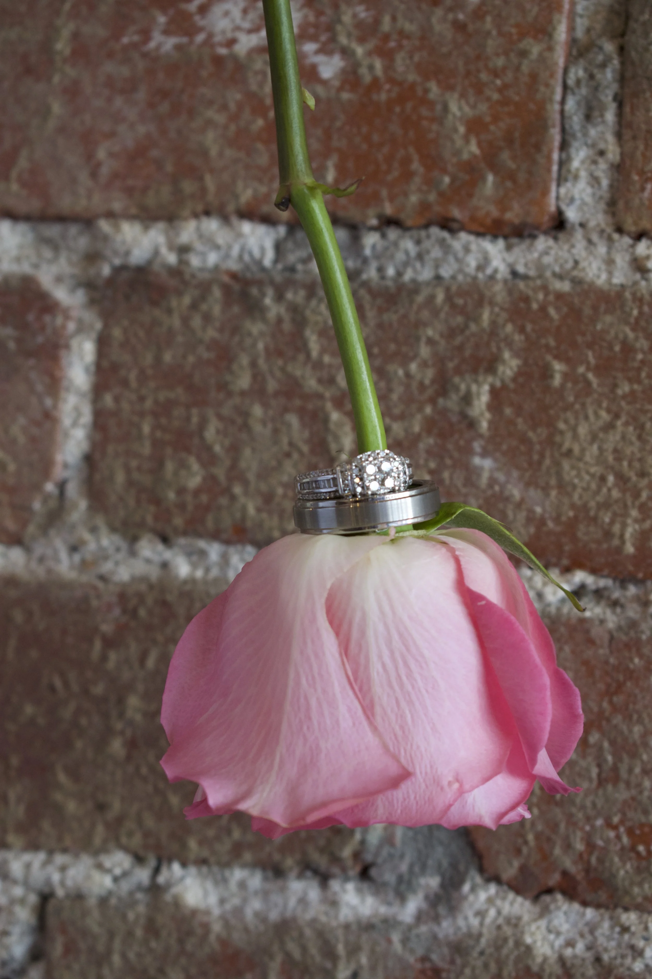 Background Alteration Before