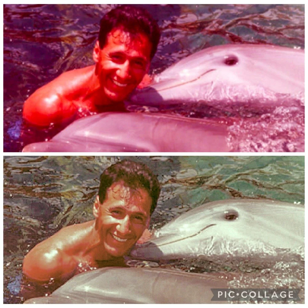 A smiling man in the water next to a dolphin in two side-by-side photos, with the top photo having a reddish filter and the bottom photo being clearer.