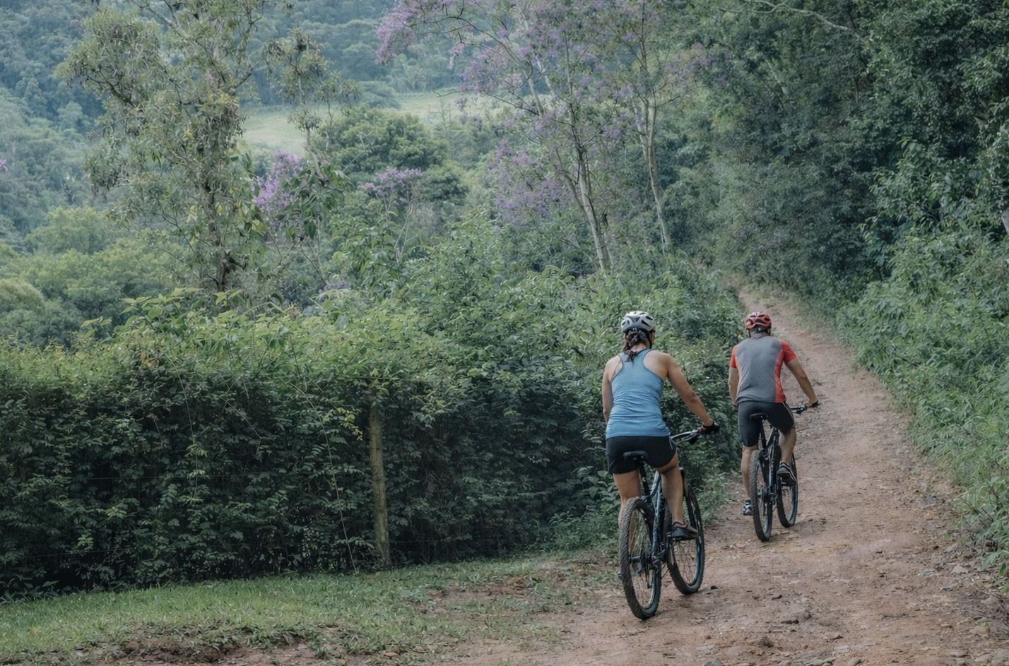 Duas pessoas pedalando por uma trilha de terra em uma área de floresta com árvores verdes e algumas árvores com flores roxas.