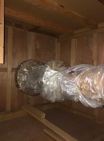 Artboard 2 copy 3.jpg