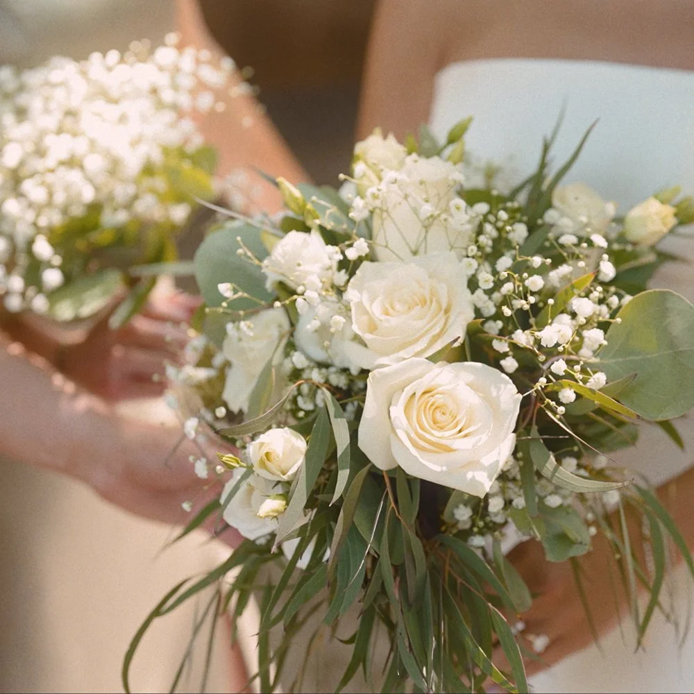 Silver Video Collection