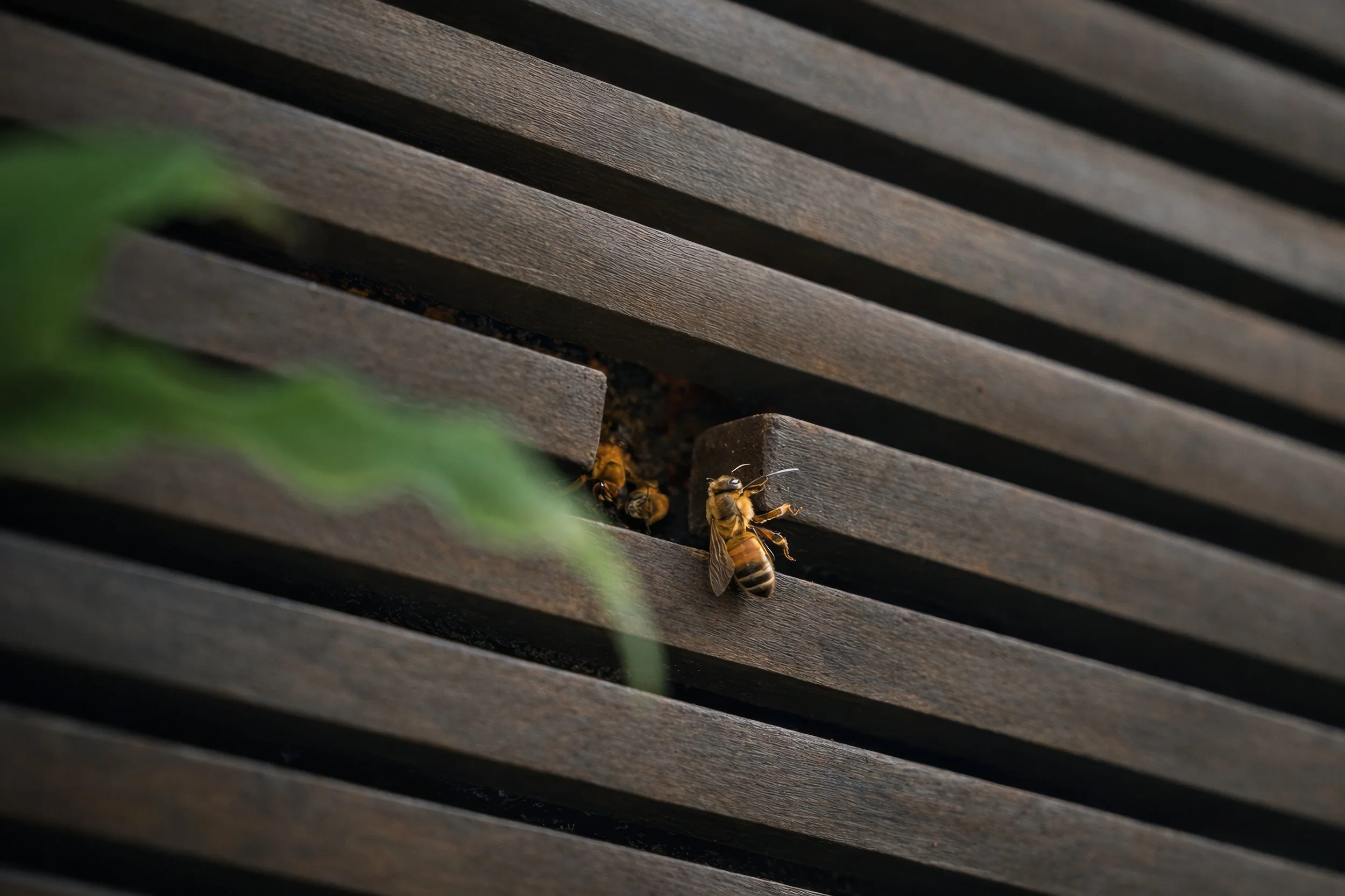 MoundFoto-106 02.12.36.jpg