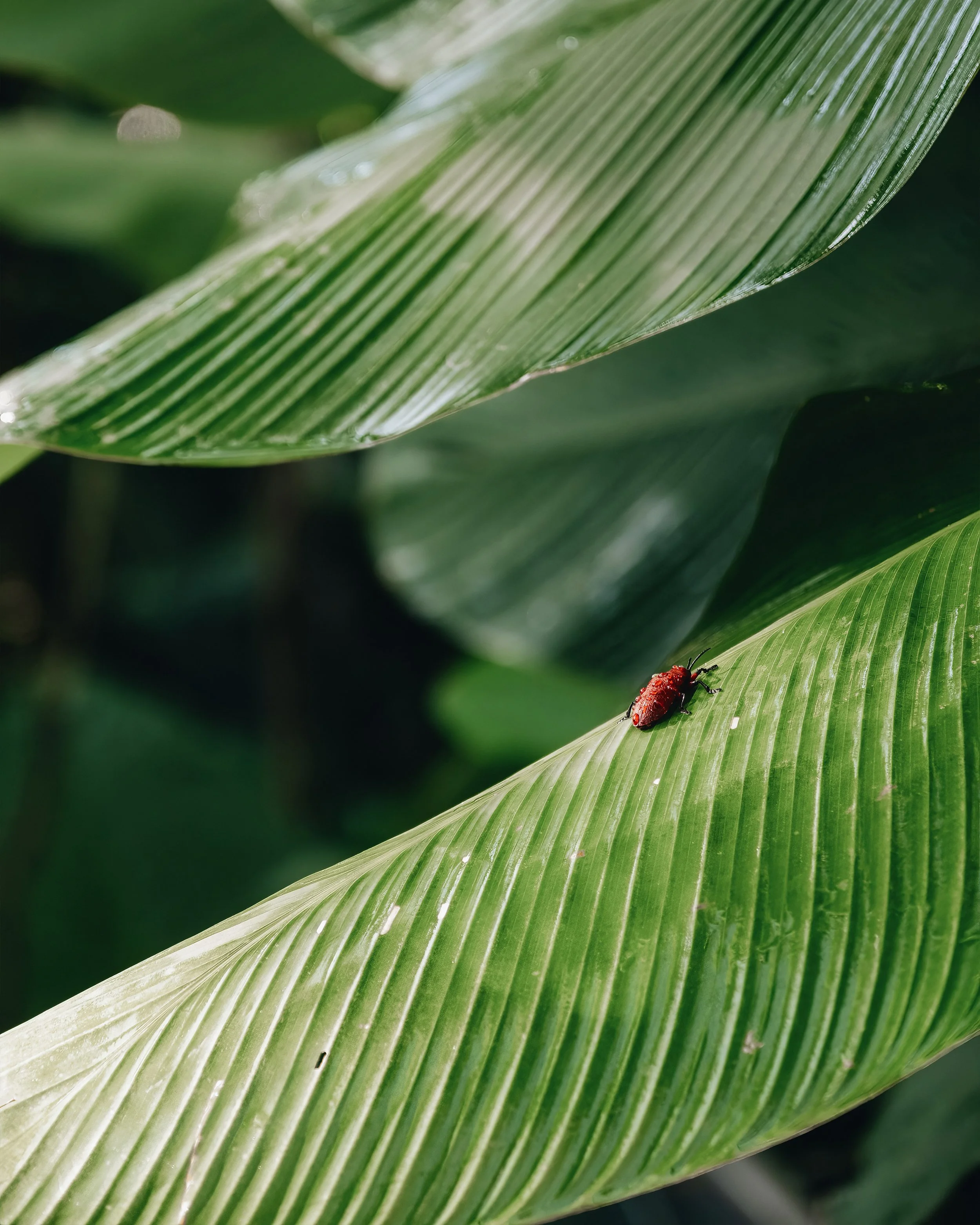 MoundFoto-4 h02.12.33 copiar.jpg