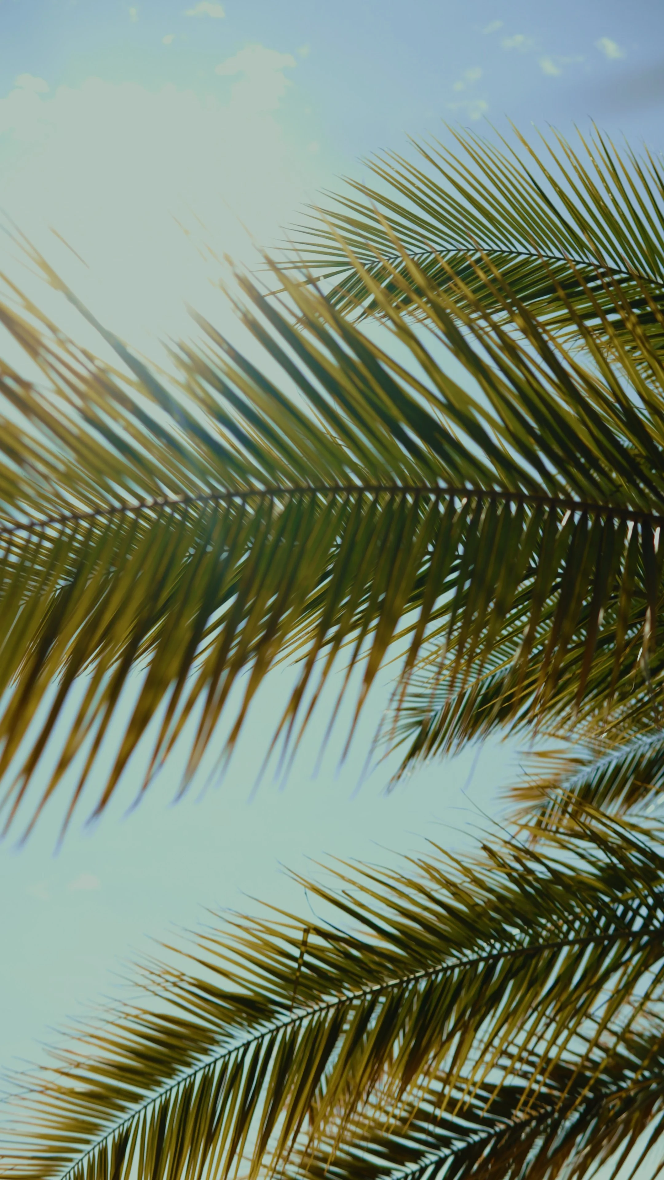 Reel 1.00_01_04_14.Quadro008.jpg