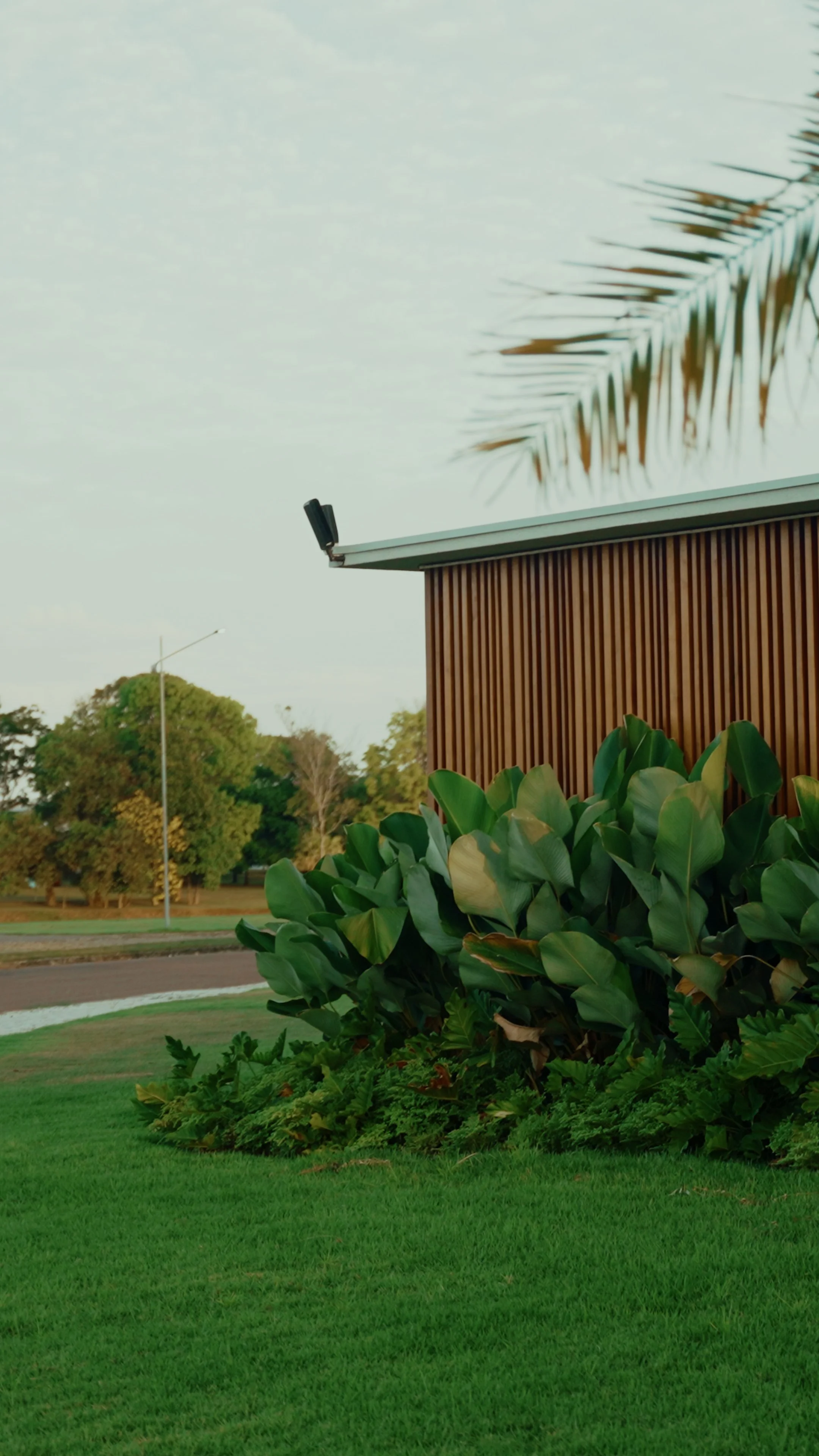 Reel 1.00_01_06_17.Quadro009.jpg