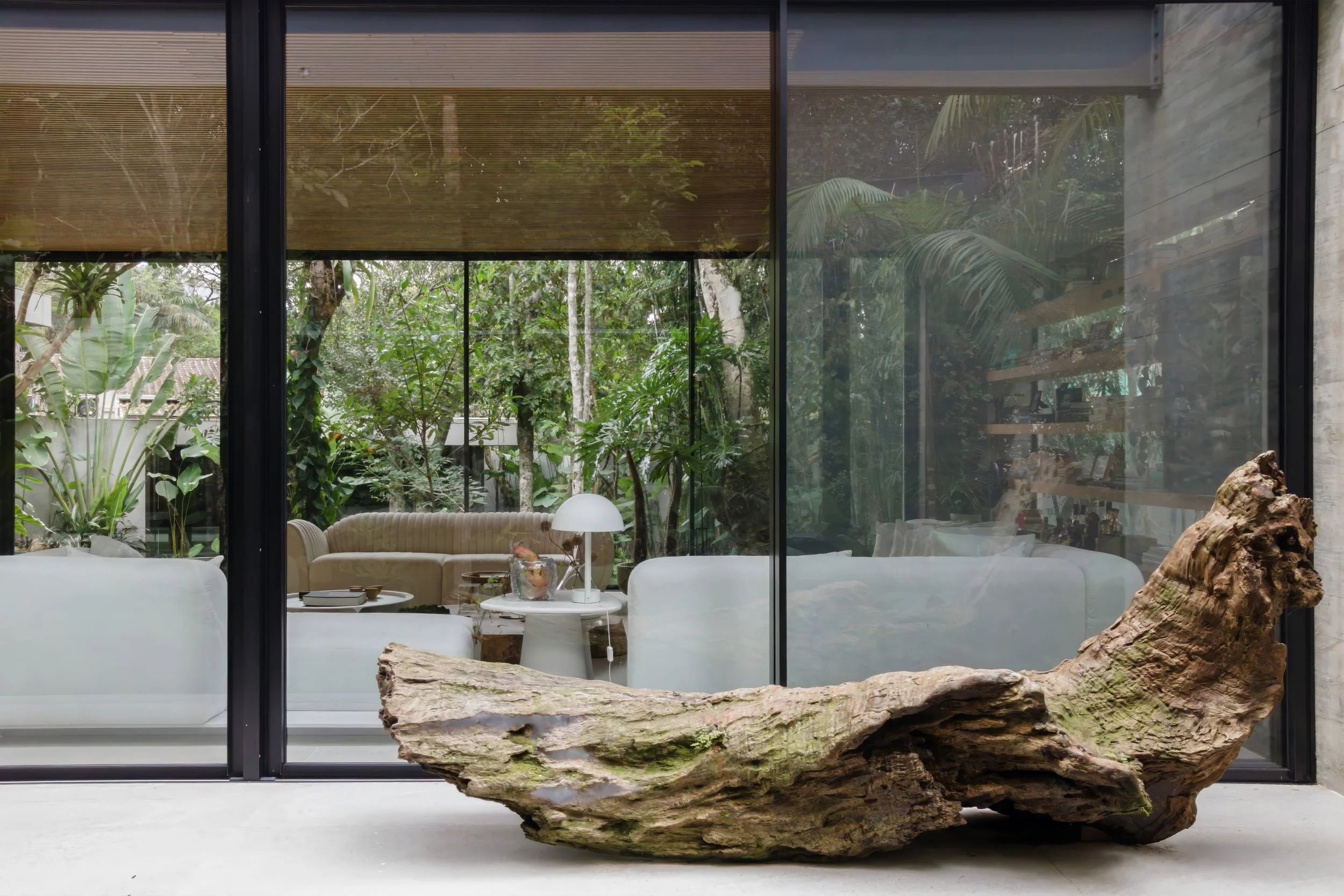 MoundFoto-108 02.nnn12.36 copiar.jpg