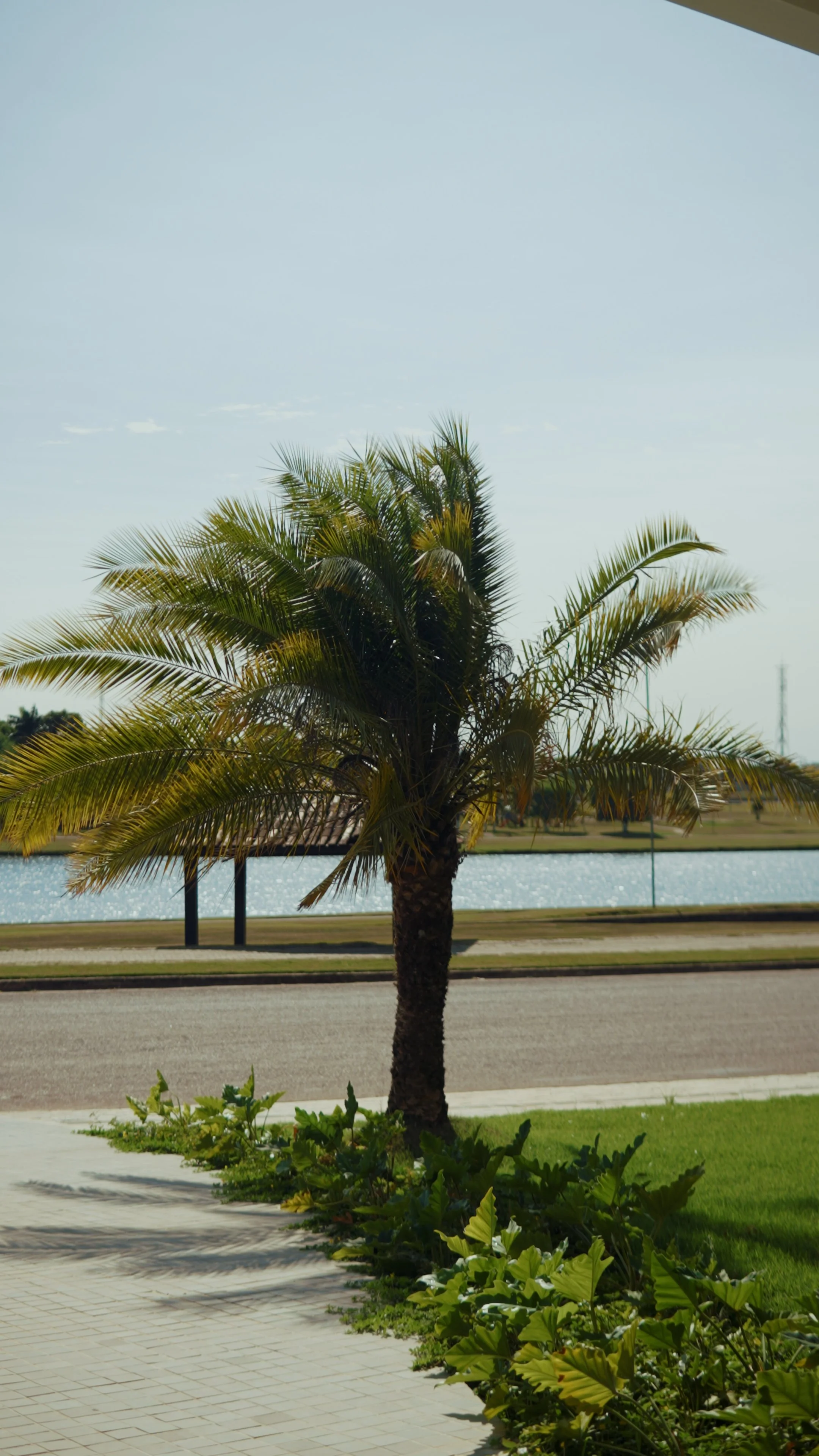 Reel 3.00_00_15_12.Quadro004.jpg