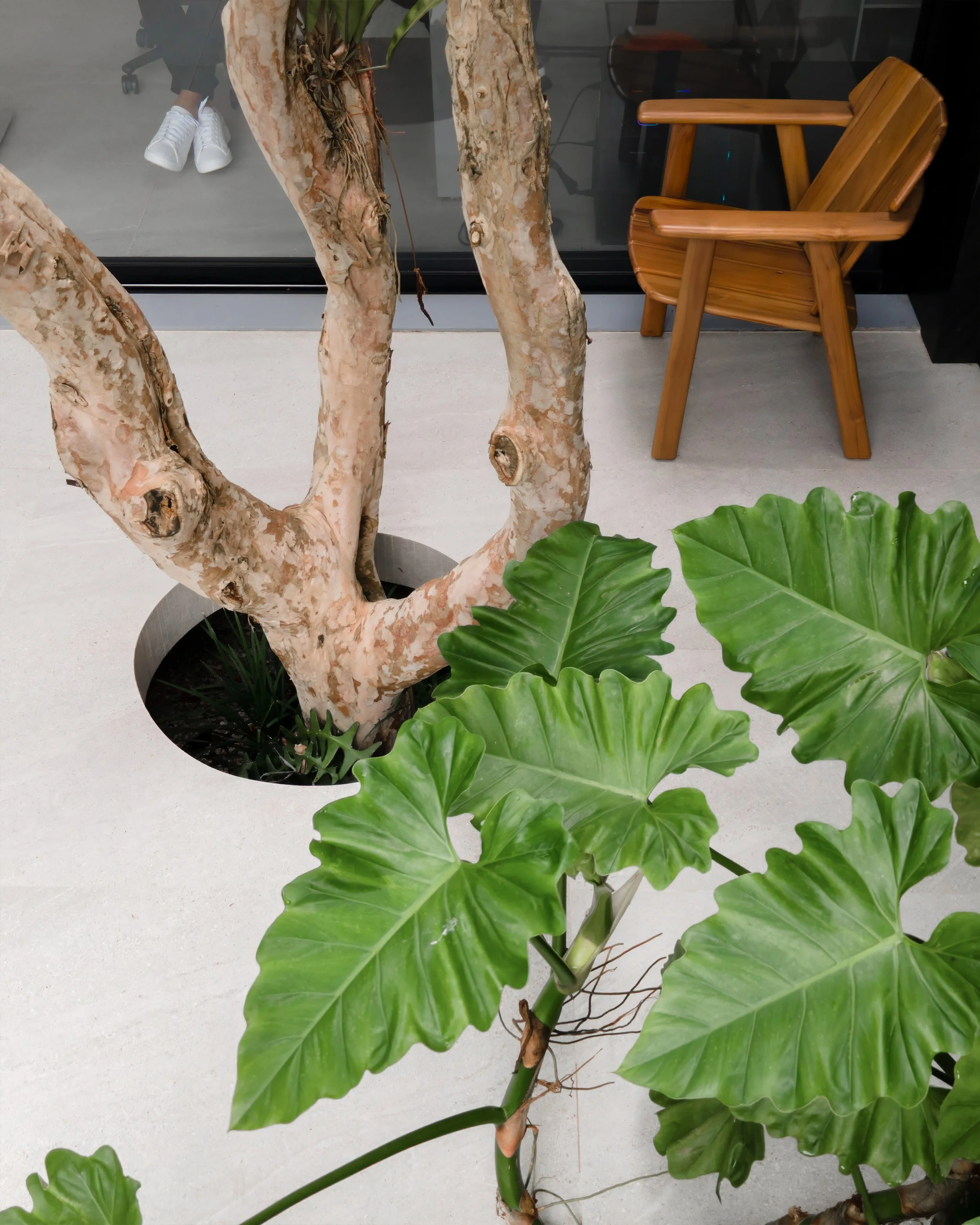 MoundggFoto-4 h02.12.33 copiar 2.jpg