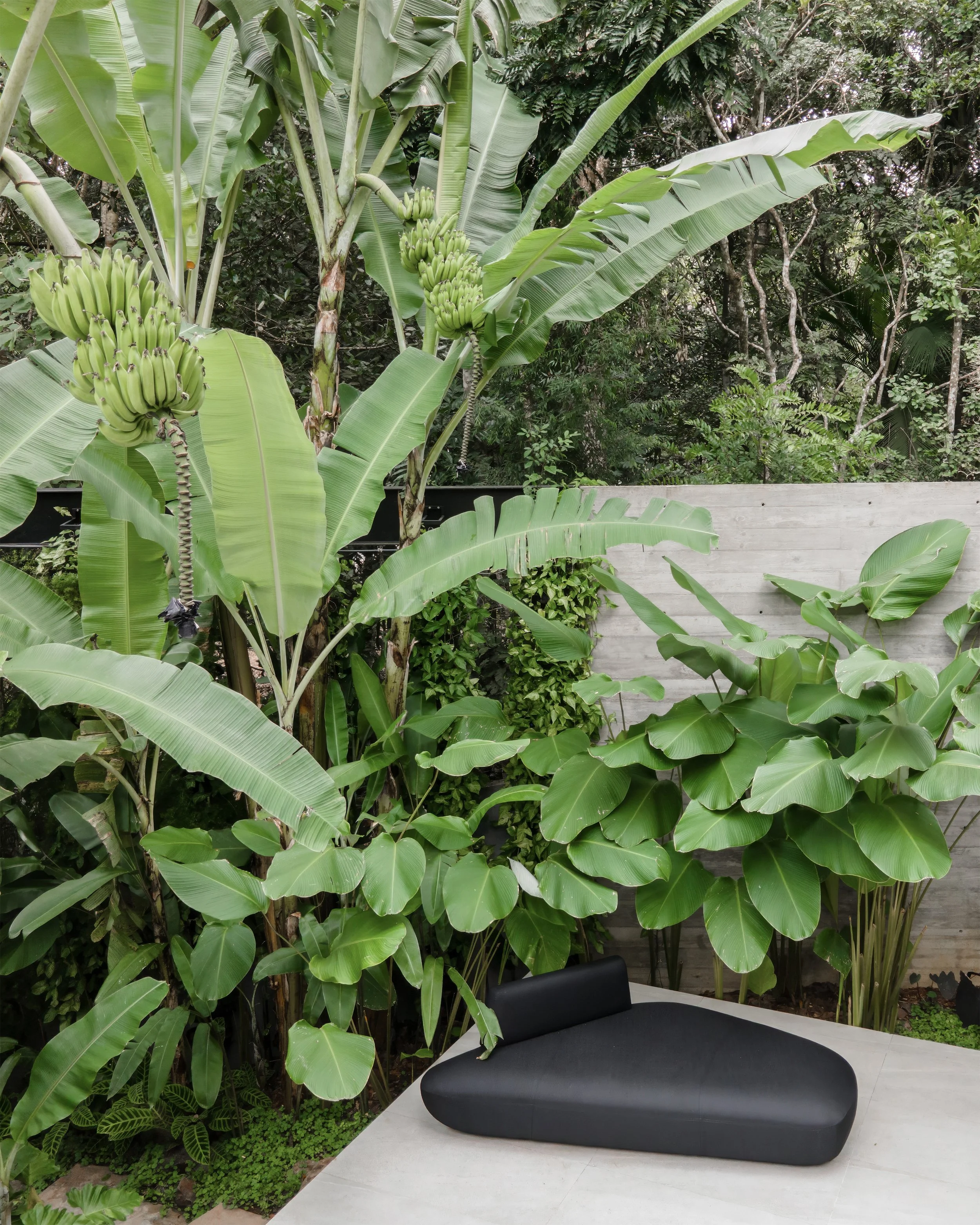 MounggdFonnto-4 02.12.33 copiar 2.jpg