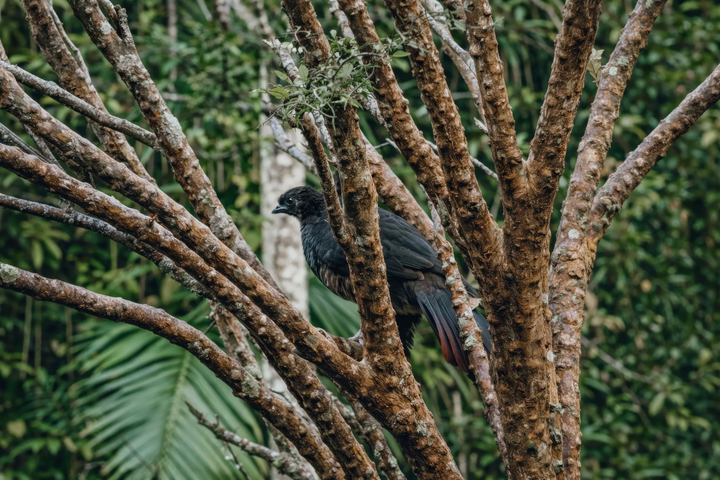 MoundFoto-105 02.12.36.jpg